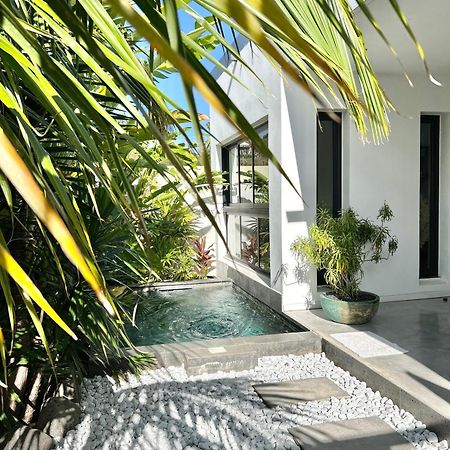 Le Yucca 974 By J&V Villa Saint Pierre Exteriör bild