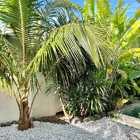 Le Yucca 974 By J&V Villa Saint Pierre Exteriör bild