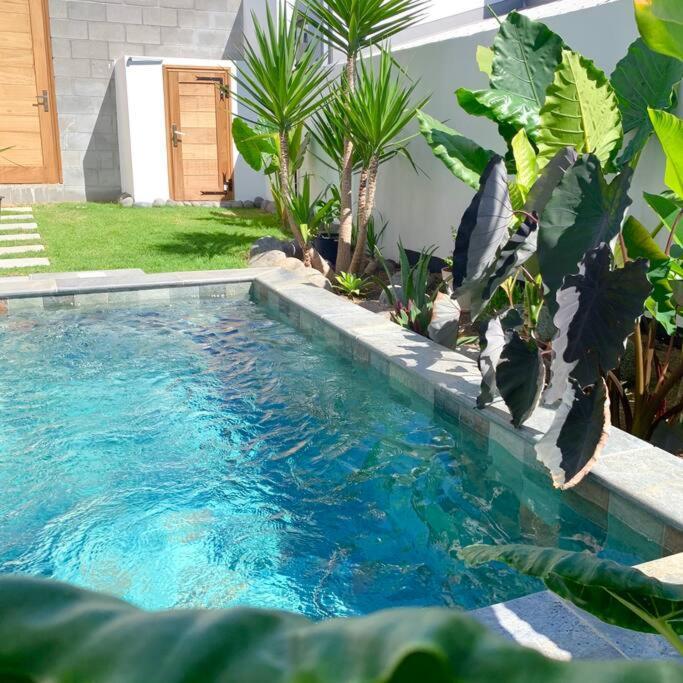 Le Yucca 974 By J&V Villa Saint Pierre Exteriör bild