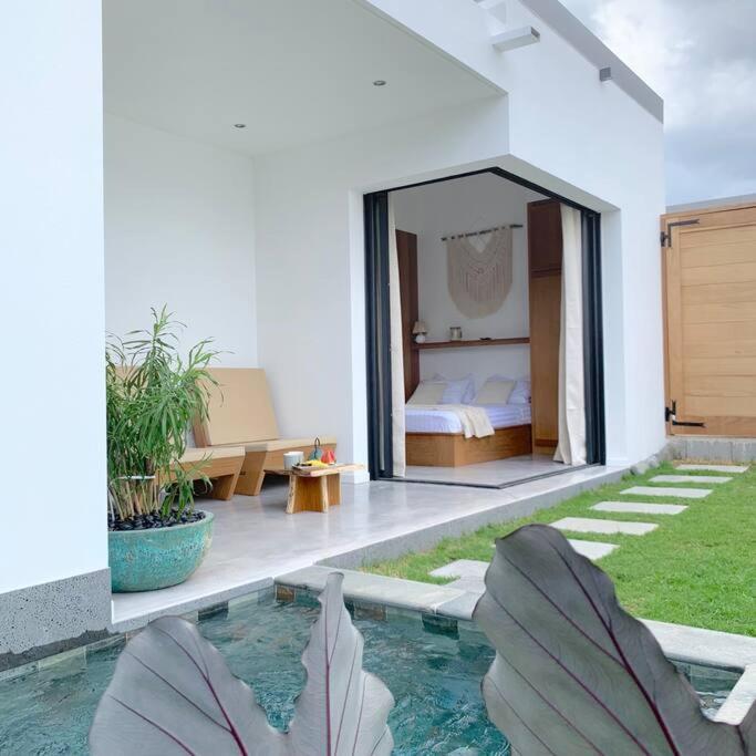 Le Yucca 974 By J&V Villa Saint Pierre Exteriör bild