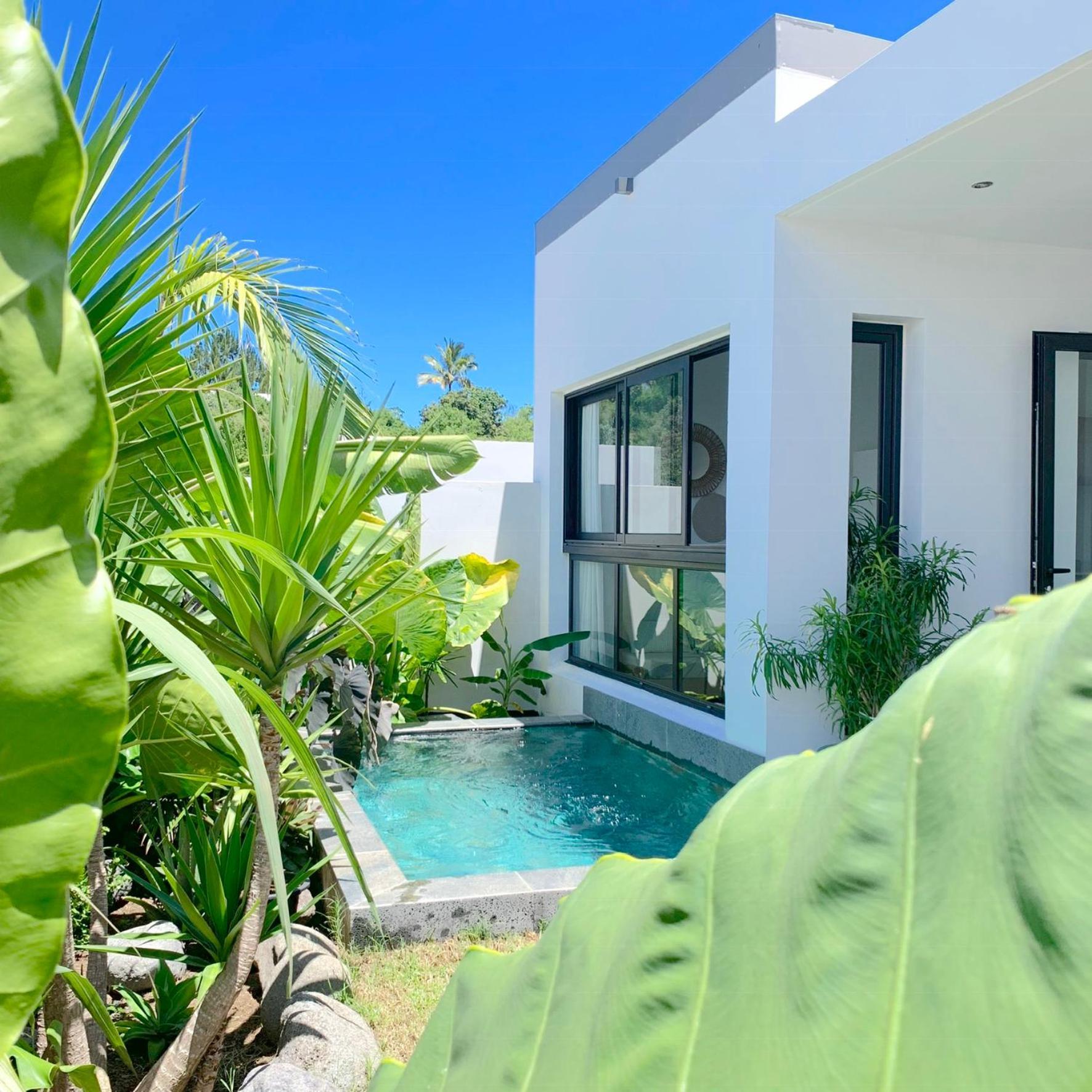 Le Yucca 974 By J&V Villa Saint Pierre Exteriör bild