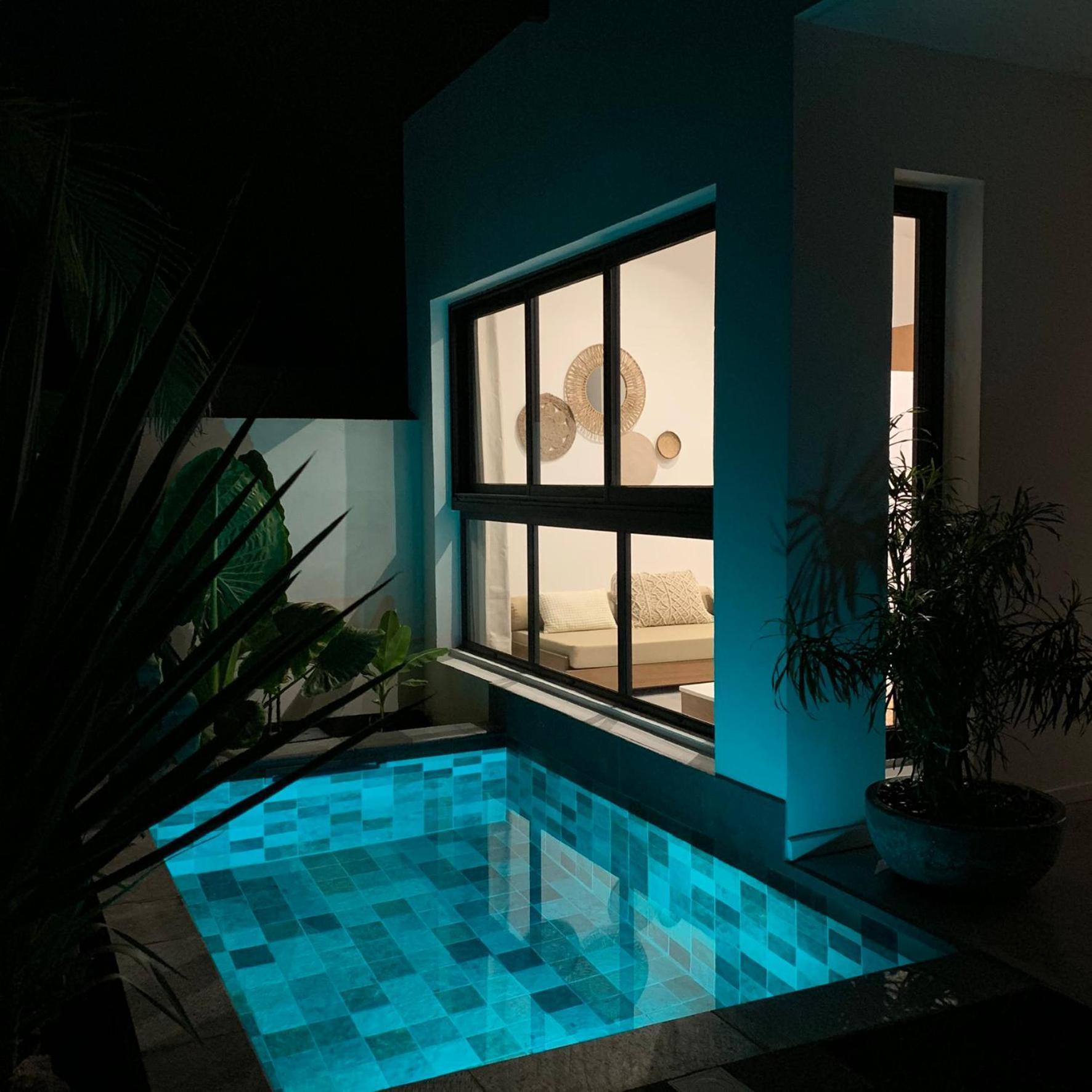 Le Yucca 974 By J&V Villa Saint Pierre Exteriör bild