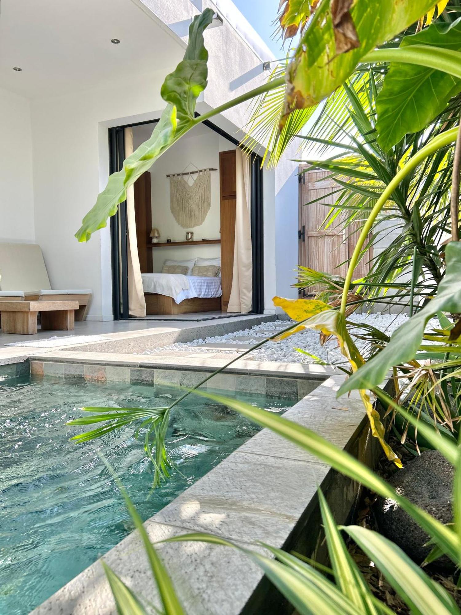 Le Yucca 974 By J&V Villa Saint Pierre Exteriör bild