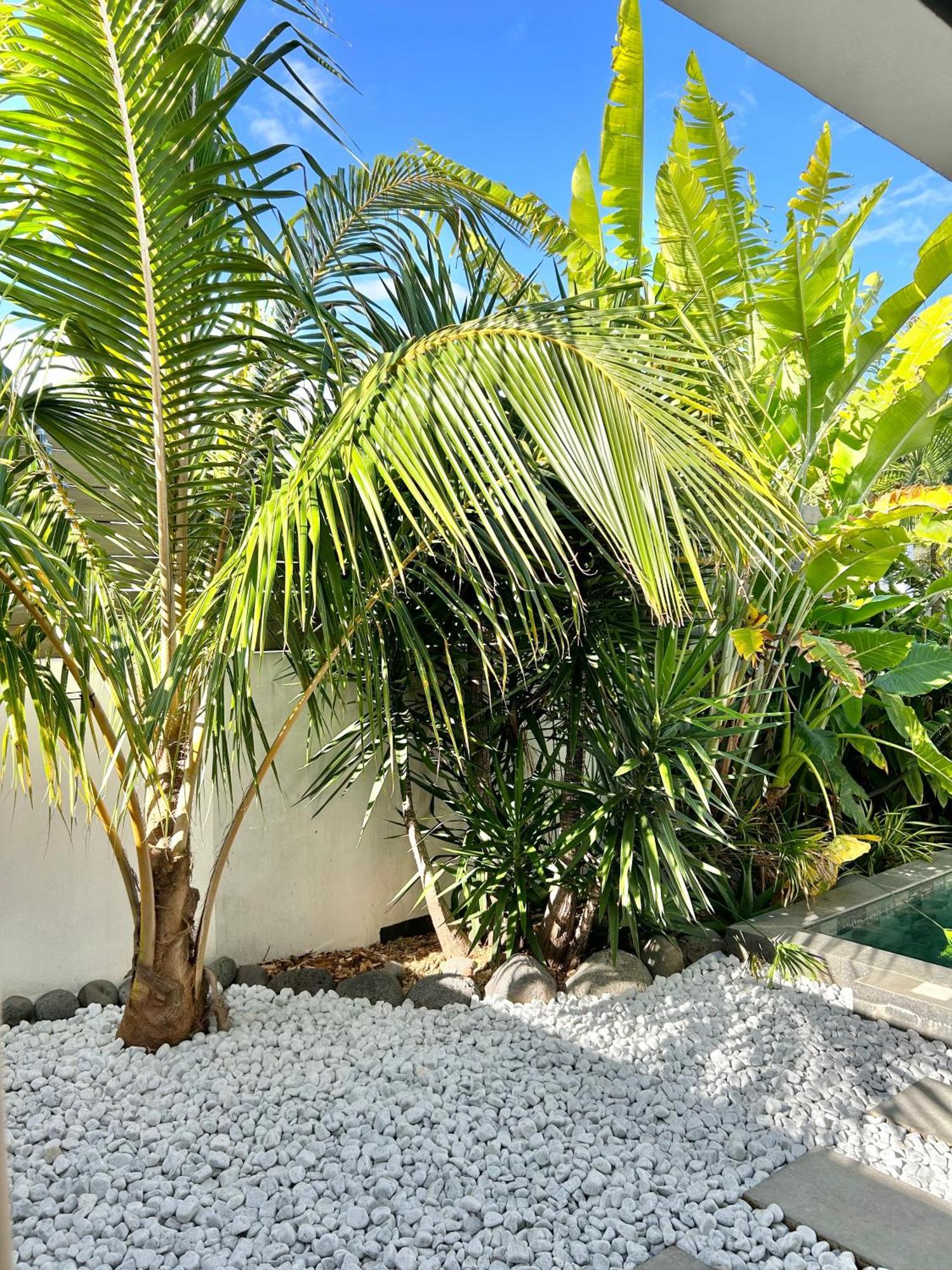 Le Yucca 974 By J&V Villa Saint Pierre Exteriör bild