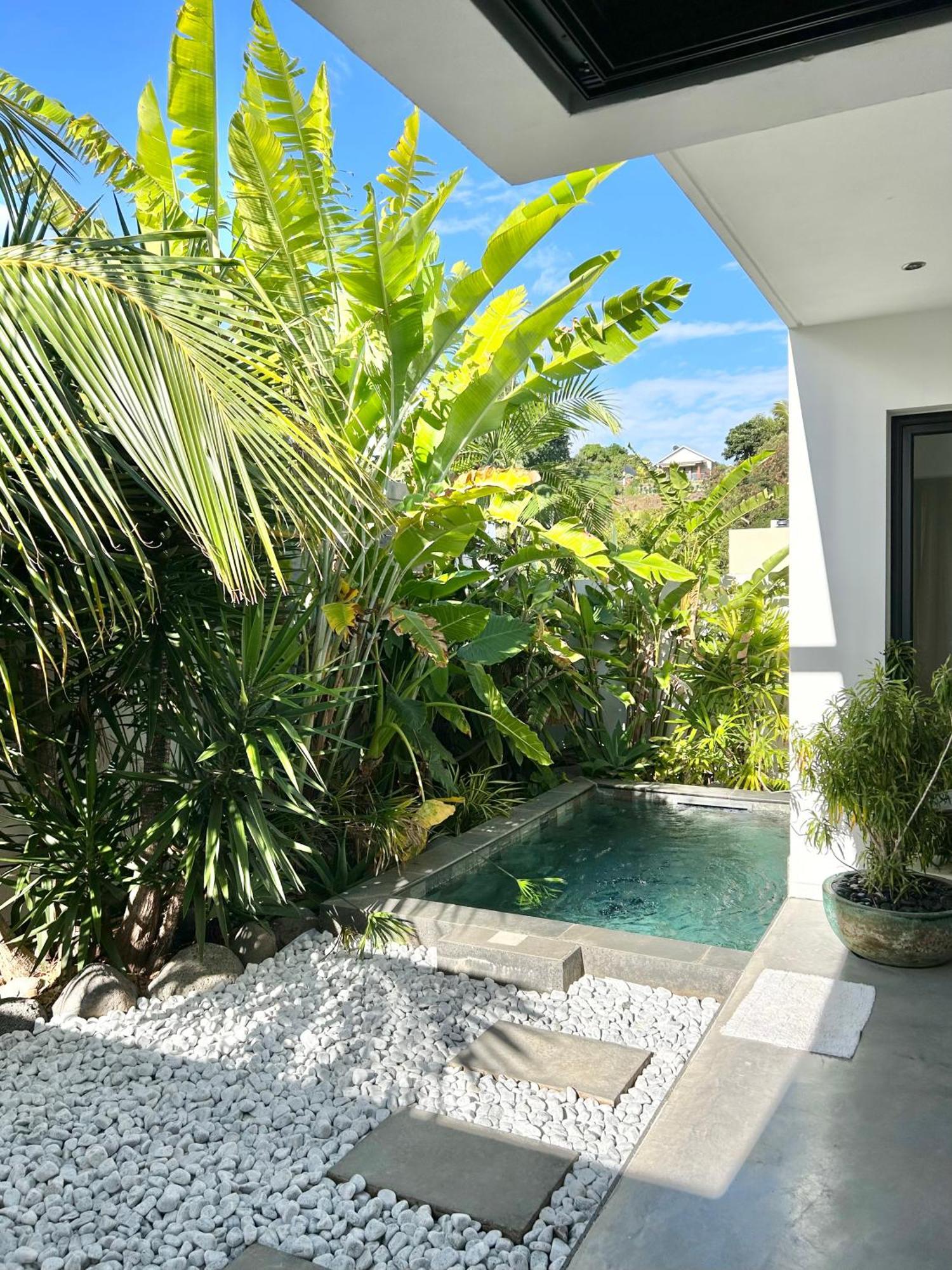 Le Yucca 974 By J&V Villa Saint Pierre Exteriör bild
